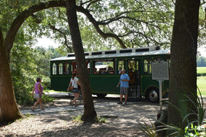 A photo of a trolley tour in Charleston at the Charleston Tea Garden Tea Farm, a Bigelow Tea partner. 