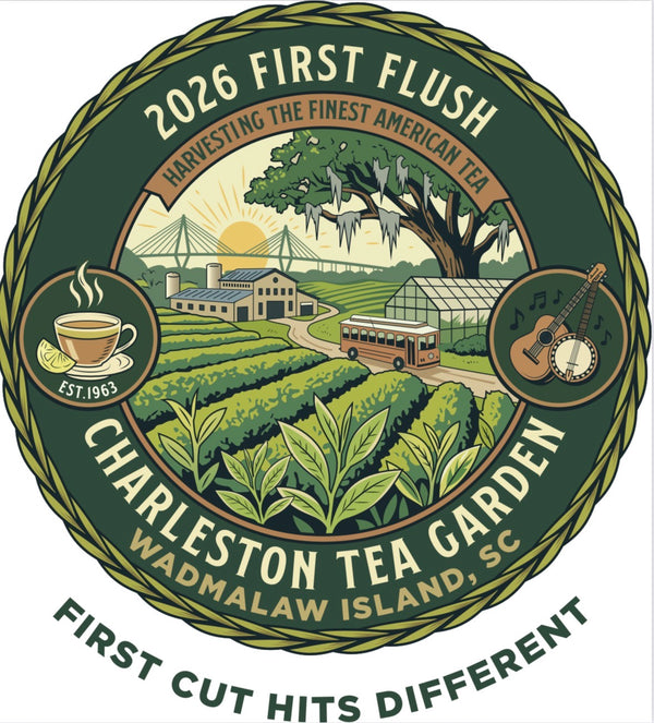 Illustration of Charleston Tea Garden on Wadmalaw Island with tea fields, a factory building, tour trolley, and musical instruments, celebrating the 2026 first flush tea harvest.