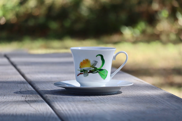White ceramic tea cup and matching saucer with a floral design, set on a rustic wooden table outdoors in soft natural light.