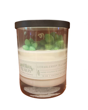 Clear glass candle jar with white coconut soy wax and decorative green succulent shapes inside, topped with a dark brown lid, showcasing a handmade artisanal feel.