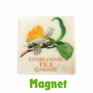 Square magnet featuring a detailed illustration of a blooming tea flower with green leaves and the words "Charleston Tea Garden" in warm tones.