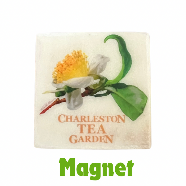 Square magnet featuring a detailed illustration of a blooming tea flower with green leaves and the words "Charleston Tea Garden" in warm tones.
