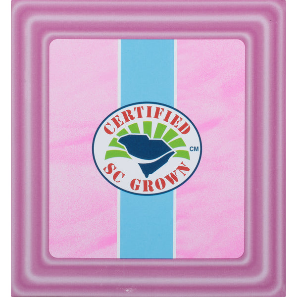 Square pink ceramic tile with a blue stripe in the center featuring a circular "Certified SC Grown" logo with a dark blue leaf and green rays, highlighting local South Carolina quality.