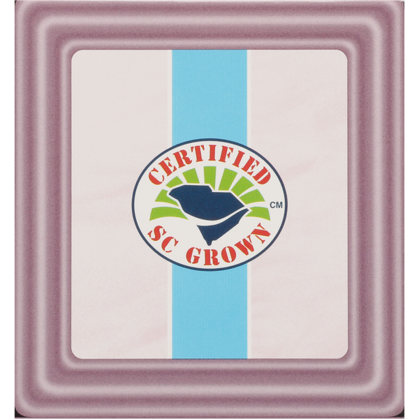 Square ceramic coaster with a blue stripe and a circular emblem featuring a blue outline of South Carolina, green sun rays, and the text "Certified SC Grown" in red letters.